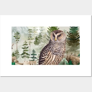 Snow Pine Owl Posters and Art